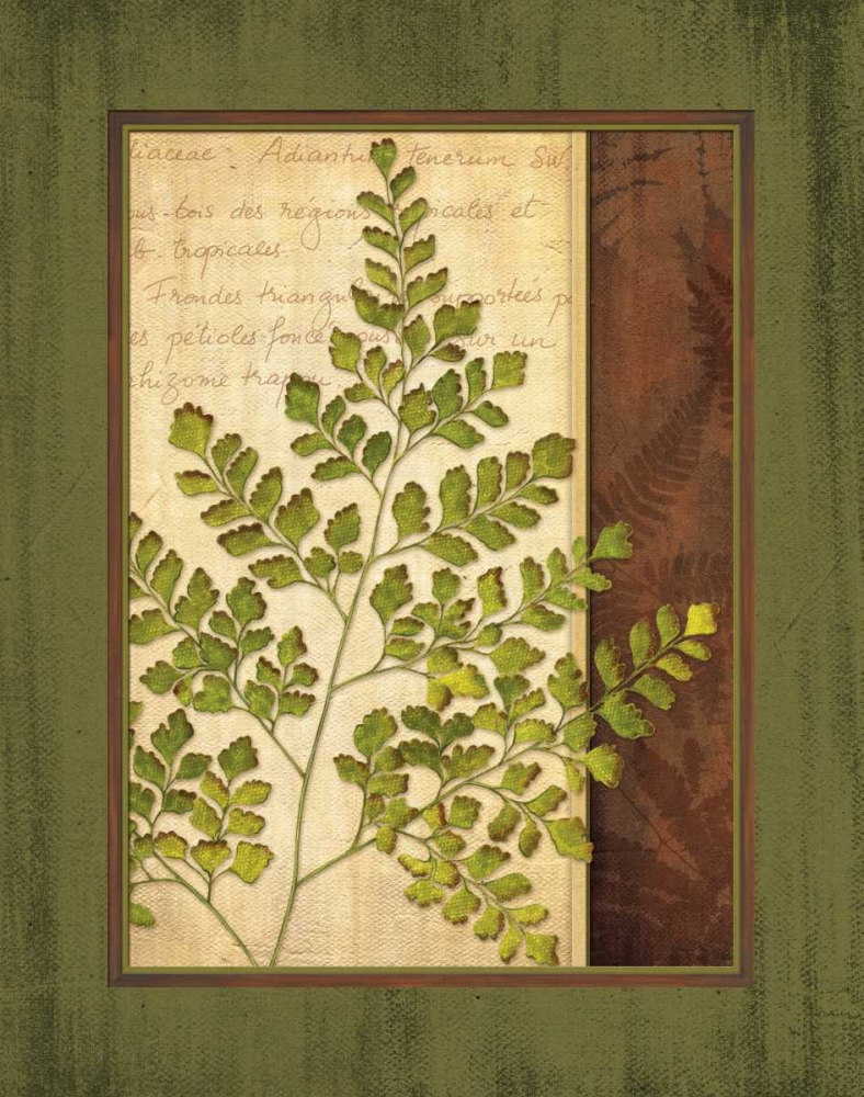 Fern Grotto IV art print by Delphine Corbin for $57.95 CAD
