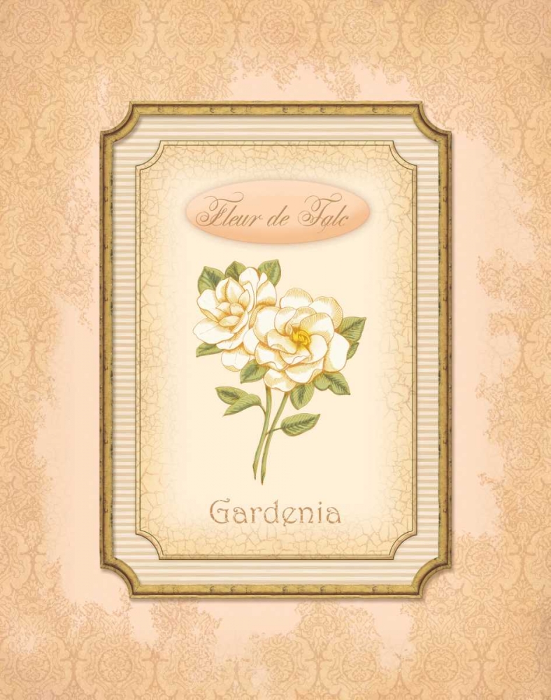 Eau de Parfum IV art print by Delphine Corbin for $57.95 CAD