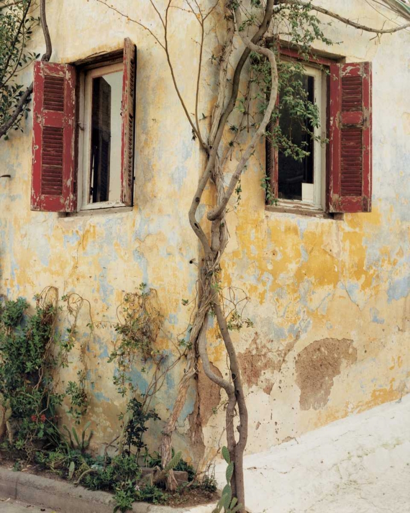 Two Windows Red Shutters art print by Zeny Cieslikowski for $57.95 CAD