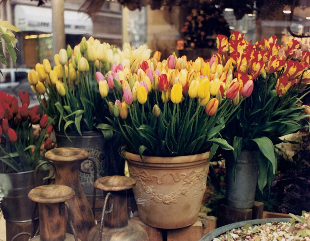 Tulips Paris art print by Zeny Cieslikowski for $57.95 CAD
