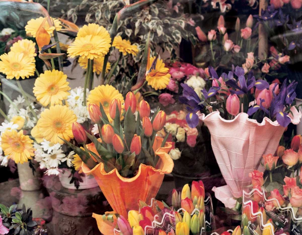 Flowers Florence art print by Zeny Cieslikowski for $57.95 CAD