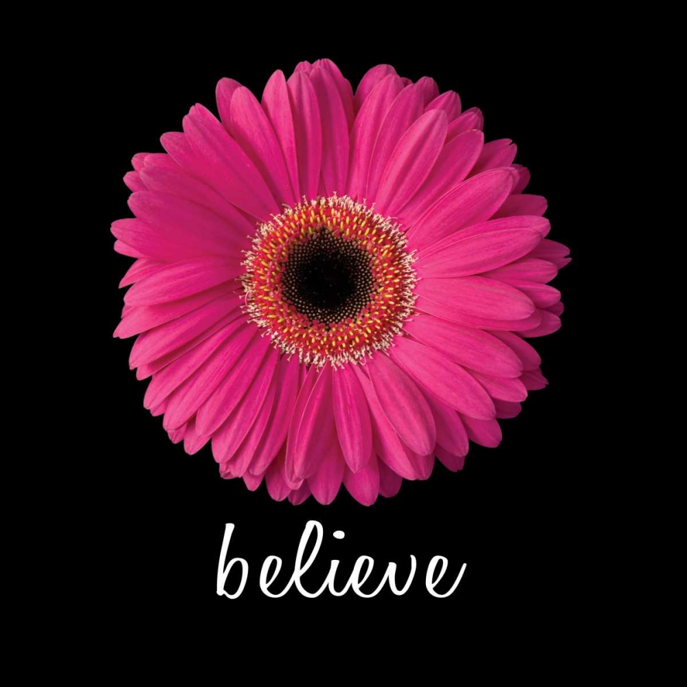 Believe Daisy art print by Jim Christensen for $57.95 CAD