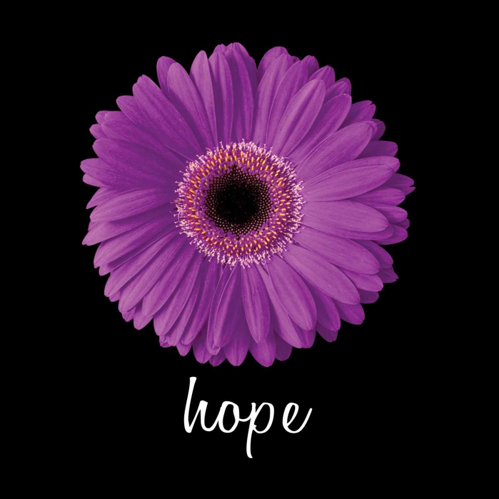 Hope Daisy art print by Jim Christensen for $57.95 CAD