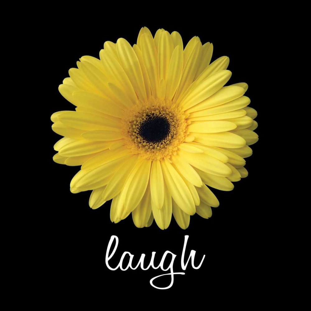 Laugh Daisy art print by Jim Christensen for $57.95 CAD