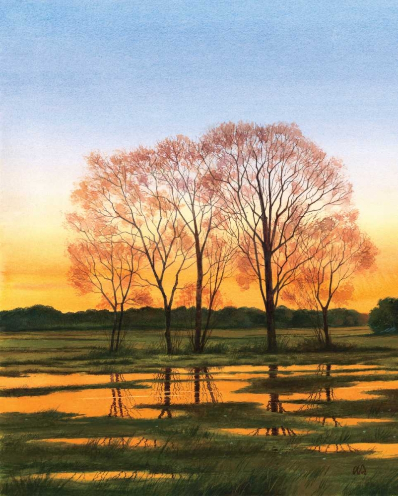 Marsh at Dusk I art print by William Duke for $57.95 CAD