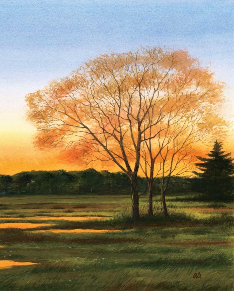 Marsh at Dusk II art print by William Duke for $57.95 CAD