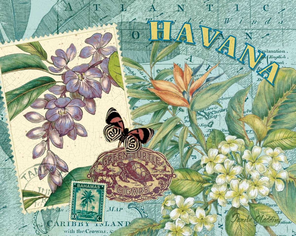 Havana art print by Pamela Gladding for $57.95 CAD