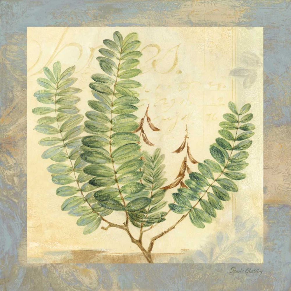 Leaf Botanicals I art print by Pamela Gladding for $57.95 CAD