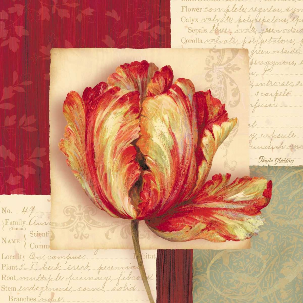 Bella Donna I art print by Pamela Gladding for $57.95 CAD