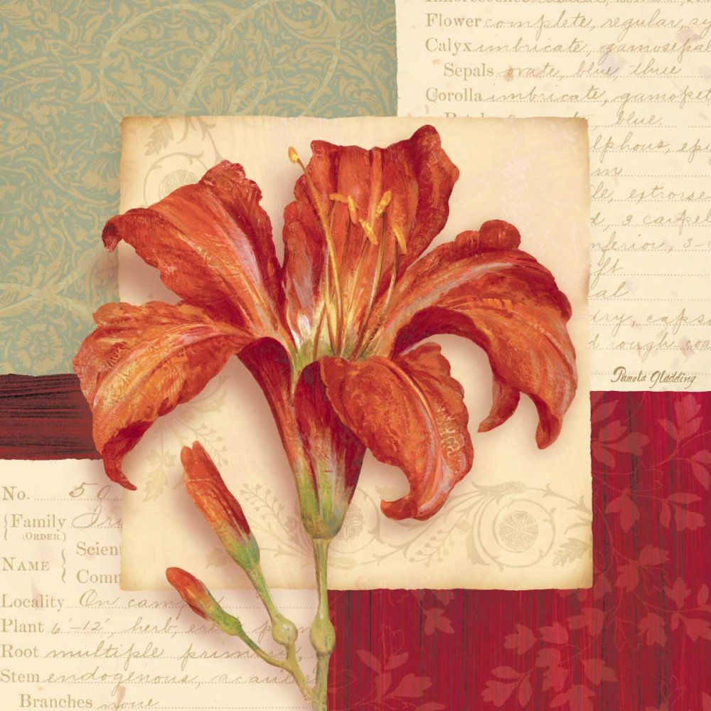Bella Donna II art print by Pamela Gladding for $57.95 CAD