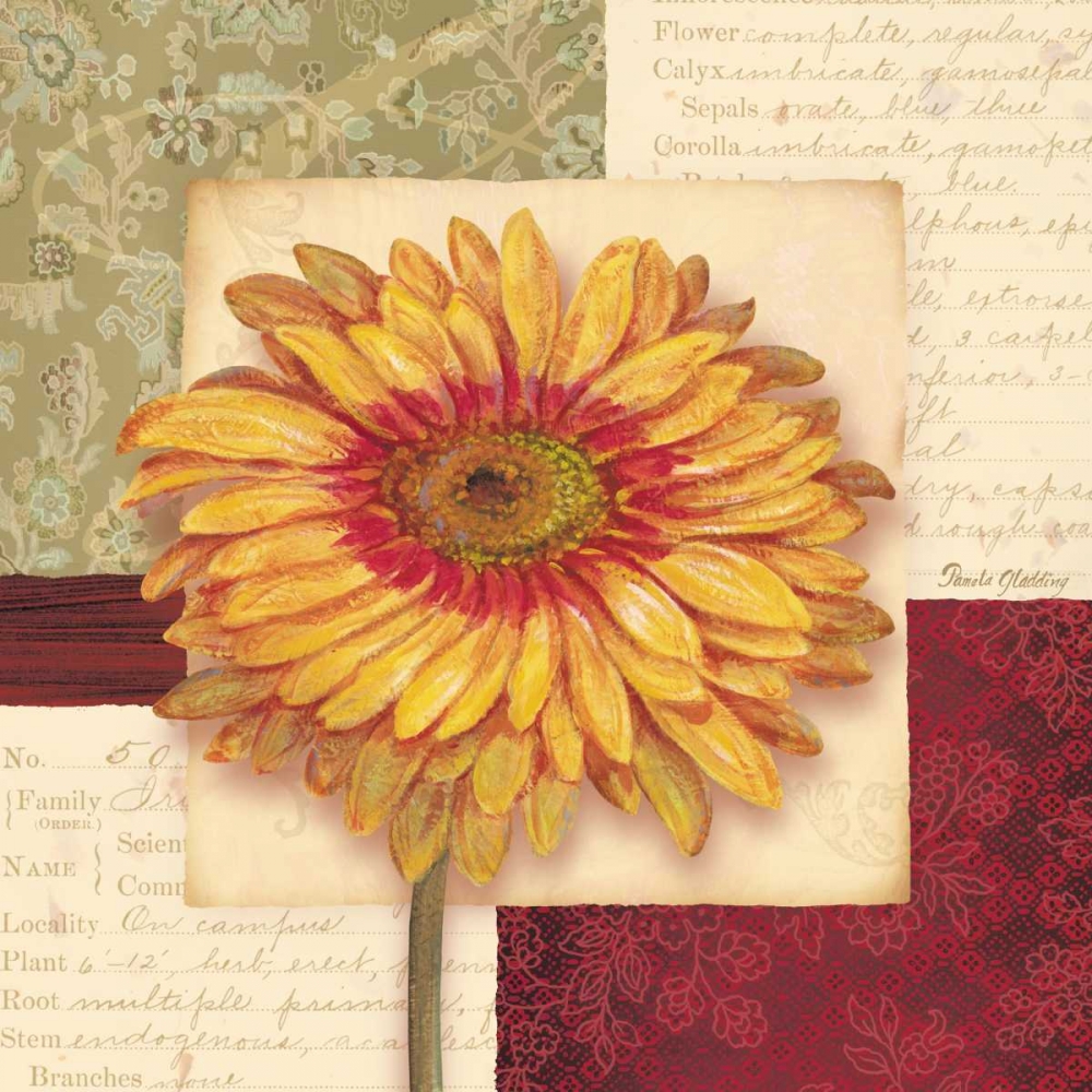 Bella Donna III art print by Pamela Gladding for $57.95 CAD
