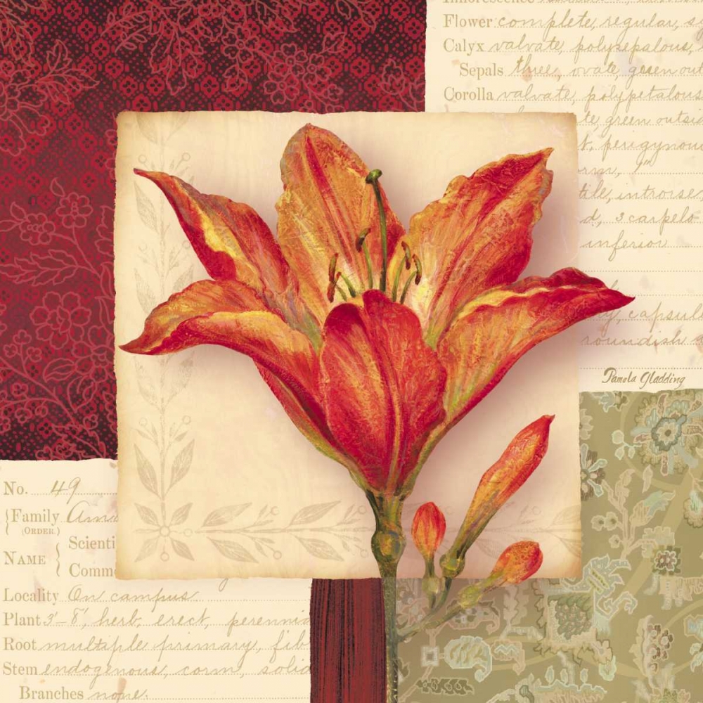 Bella Donna IV art print by Pamela Gladding for $57.95 CAD