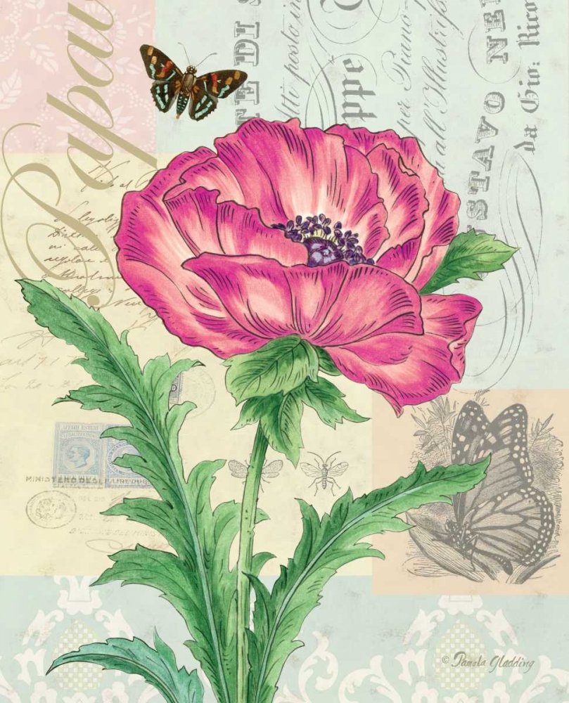 Poppy Collage art print by Pamela Gladding for $57.95 CAD