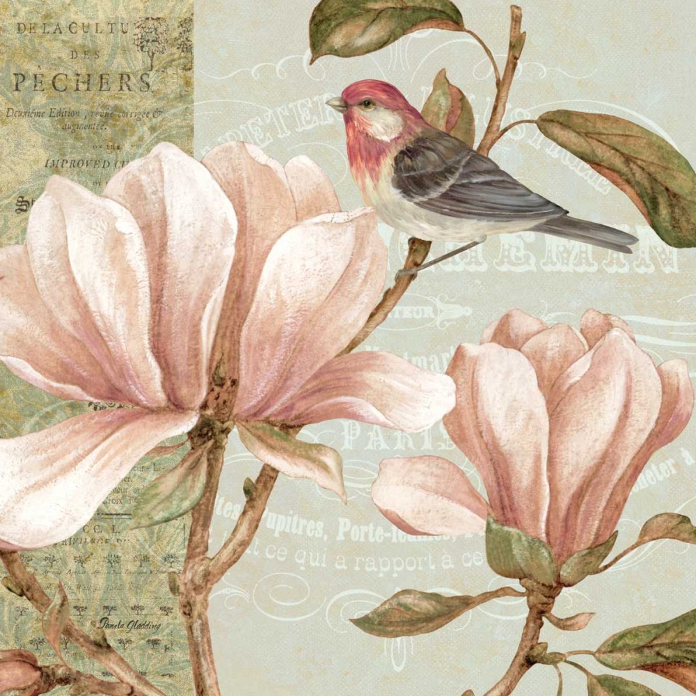 Magnolia Collage I art print by Pamela Gladding for $57.95 CAD