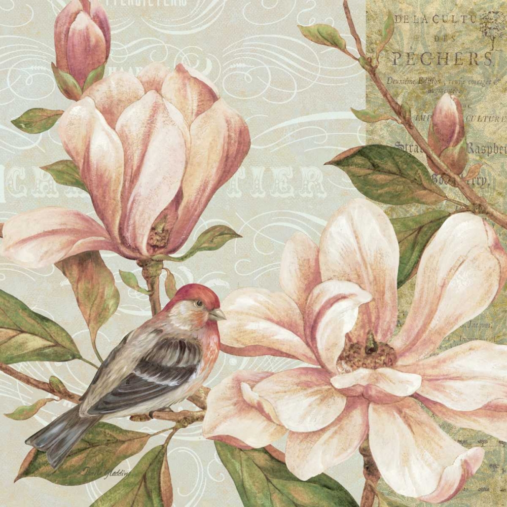 Magnolia Collage II art print by Pamela Gladding for $57.95 CAD