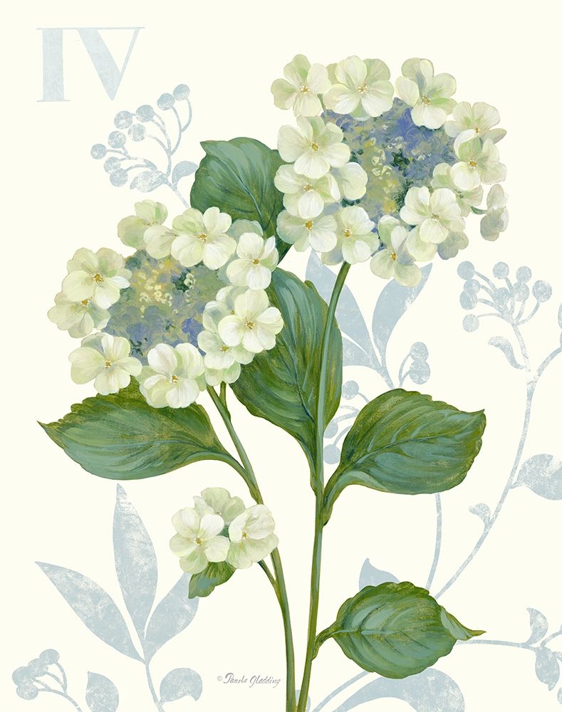 Lace Hydrangea art print by Pamela Gladding for $57.95 CAD