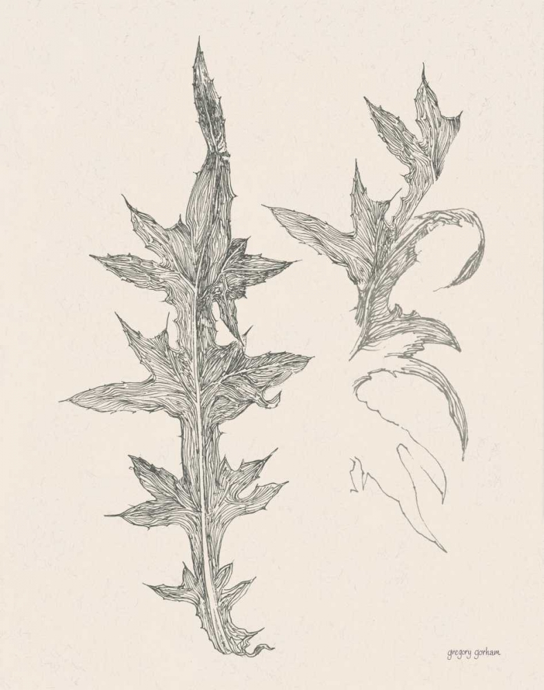 Plant Life II art print by Gregory Gorham for $57.95 CAD