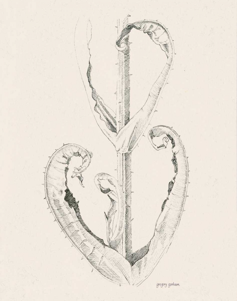 Plant Life III art print by Gregory Gorham for $57.95 CAD