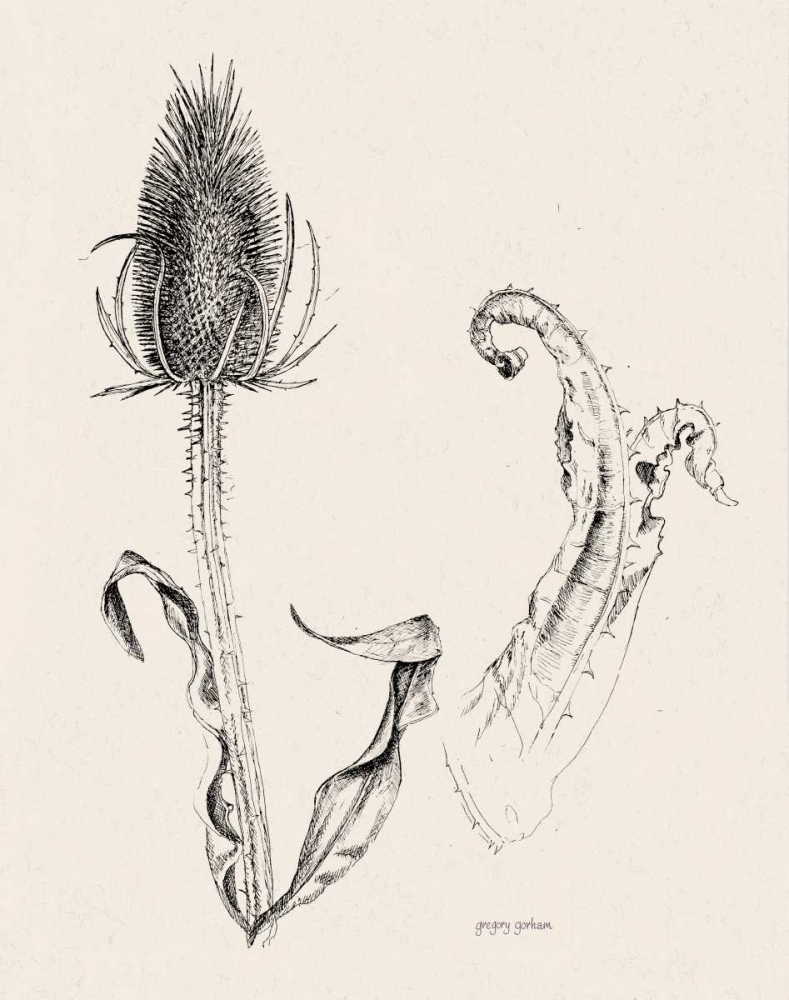 Plant Life IV art print by Gregory Gorham for $57.95 CAD