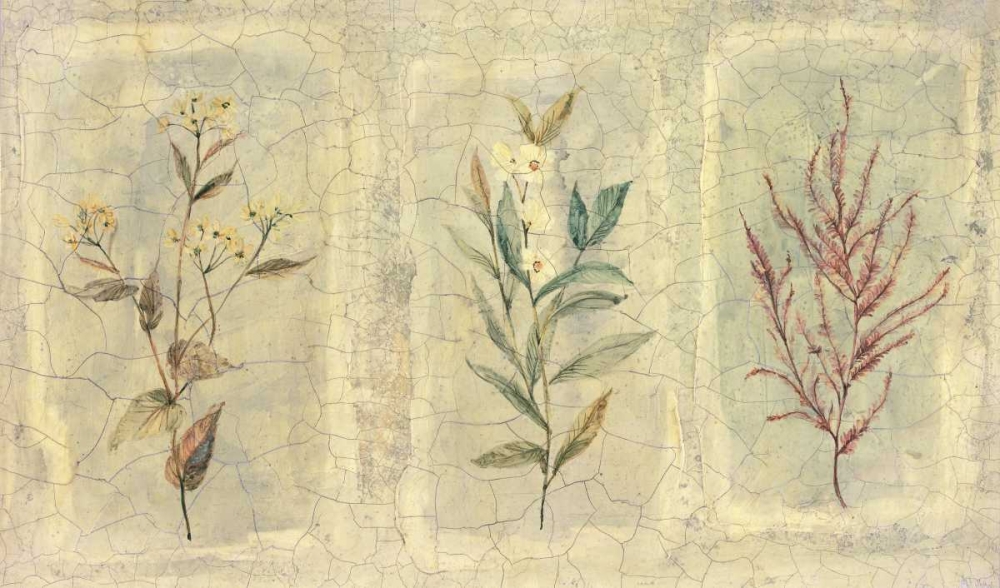 Crackle Sprigs II art print by Paul Hargittai for $57.95 CAD