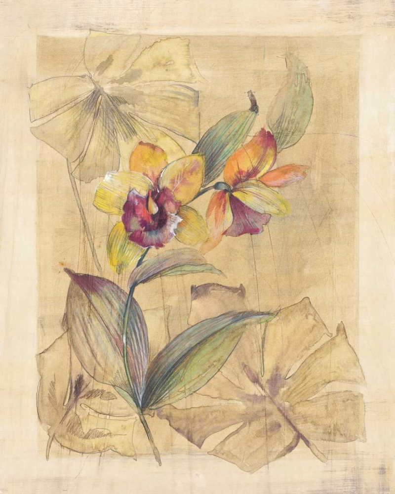 Bahama Breeze I art print by Paul Hargittai for $57.95 CAD