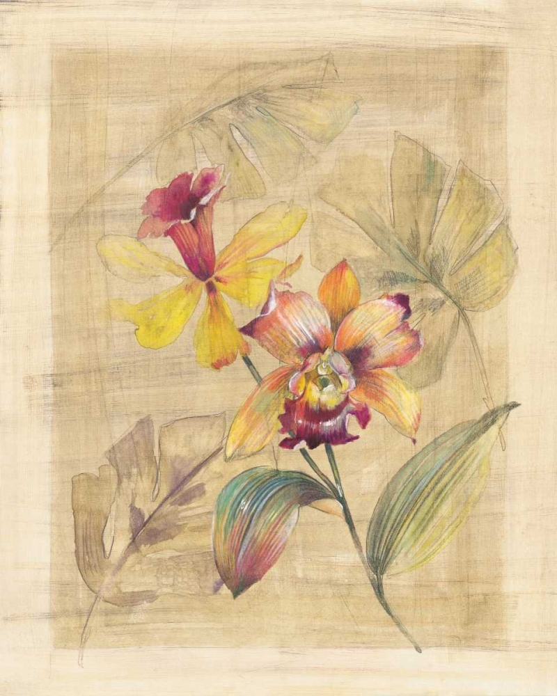 Bahama Breeze II art print by Paul Hargittai for $57.95 CAD