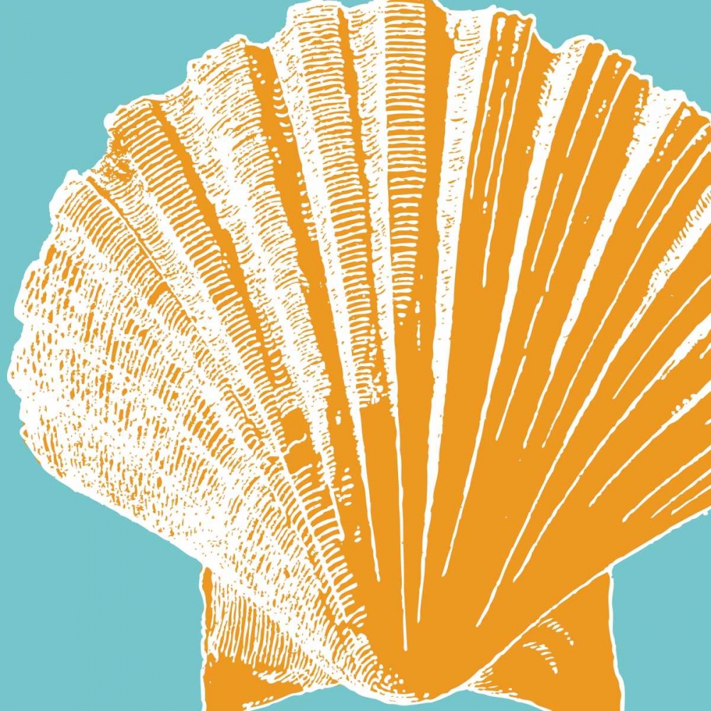 Graphic Shell IV art print by N Harbick for $57.95 CAD