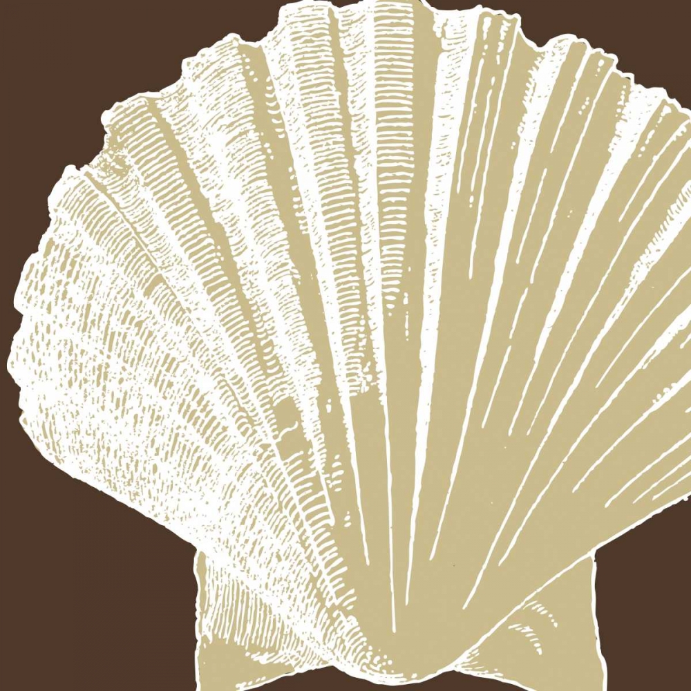 Natural Shell IV art print by N Harbick for $57.95 CAD