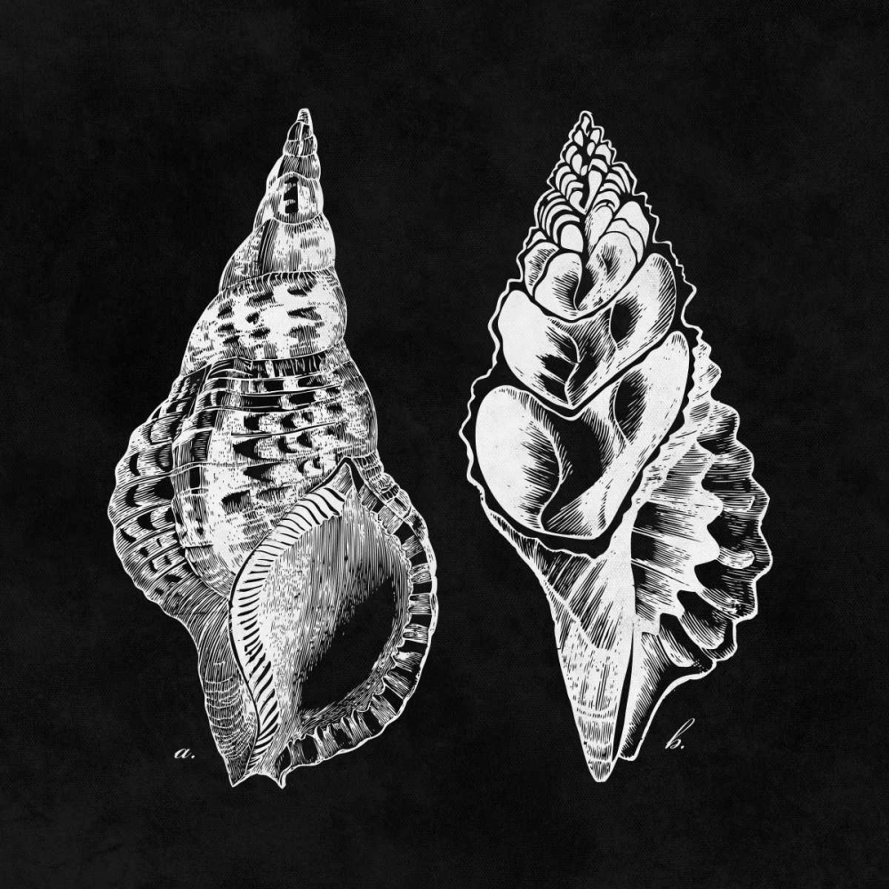 Elegant Negative I art print by N Harbick for $57.95 CAD