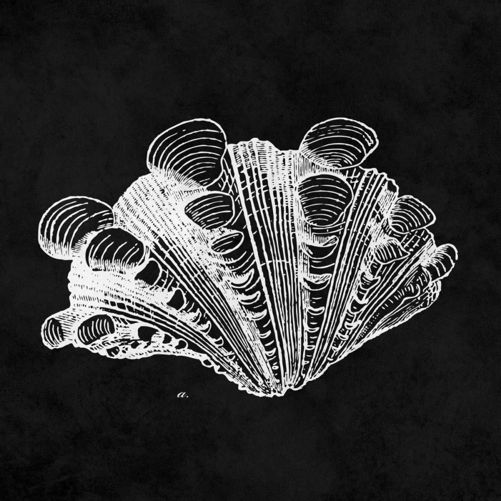 Elegant Negative III art print by N Harbick for $57.95 CAD