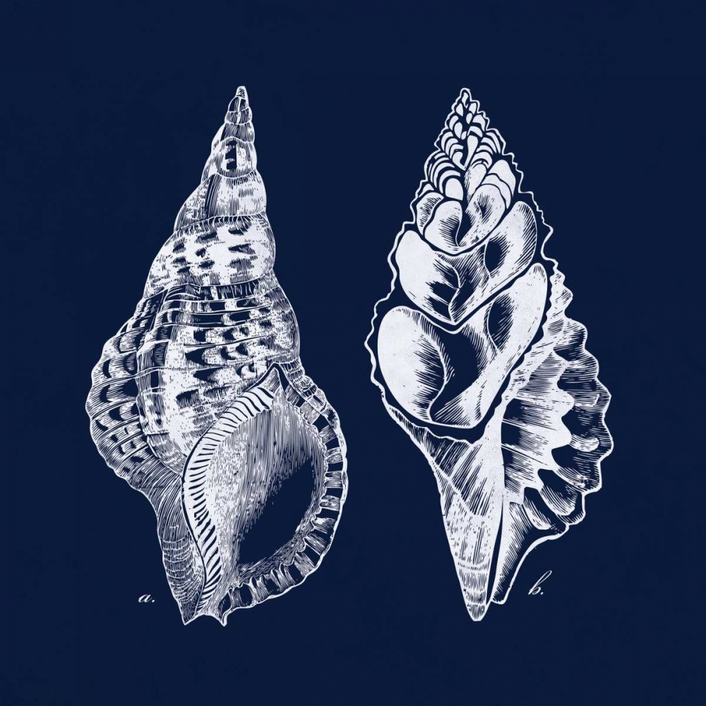 Shell Negative I art print by N Harbick for $57.95 CAD
