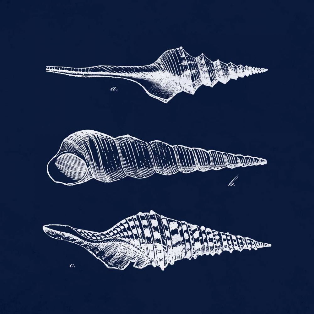 Shell Negative II art print by N Harbick for $57.95 CAD