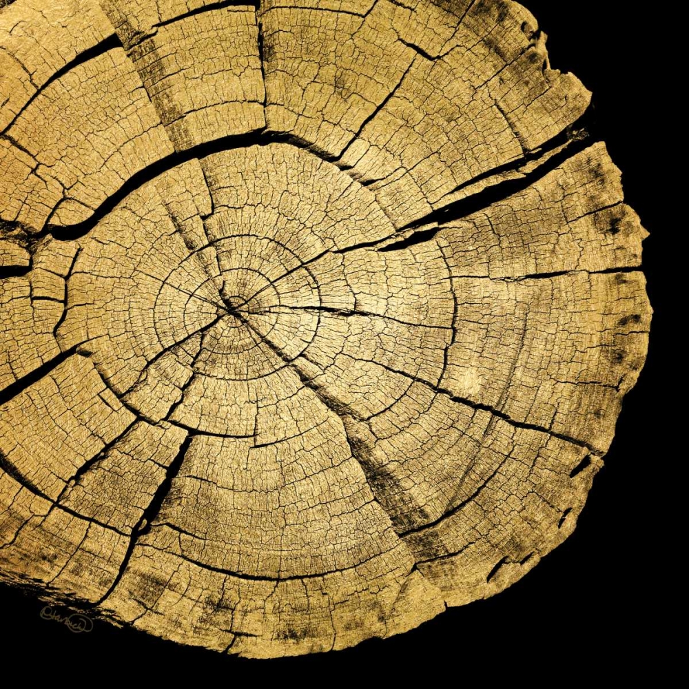 Gold Wood I art print by N Harbick for $57.95 CAD