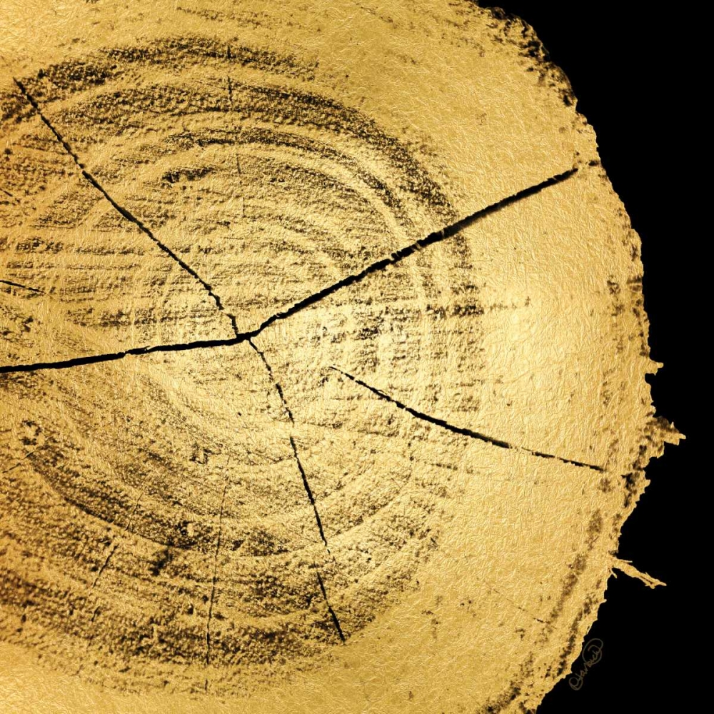 Gold Wood IV art print by N Harbick for $57.95 CAD