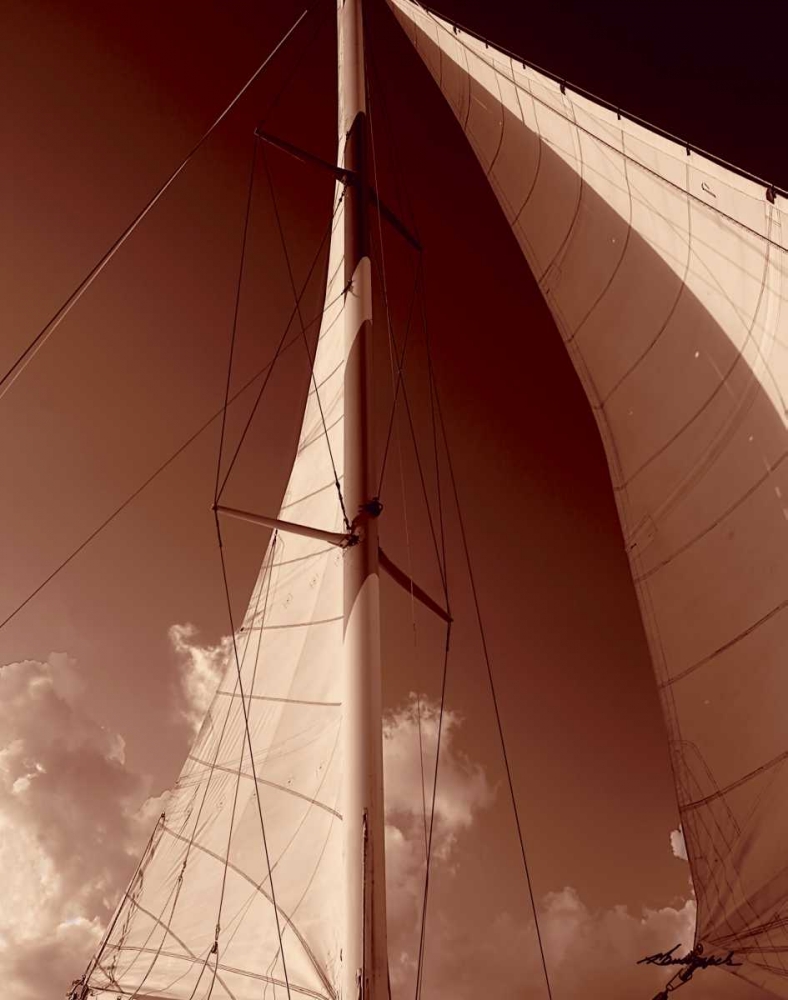 Windward Sail IV art print by Alan Hausenflock for $57.95 CAD