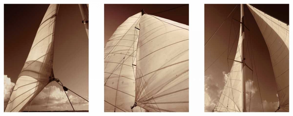 Windward Sails Triptych art print by Alan Hausenflock for $57.95 CAD
