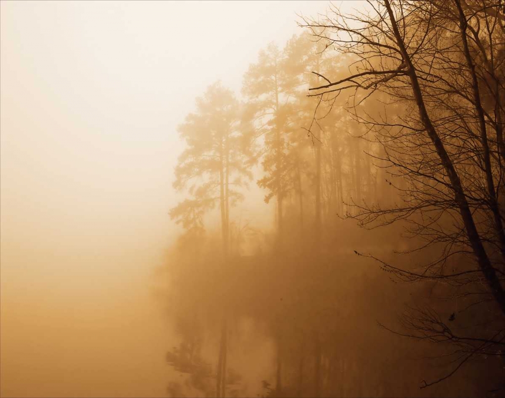 Fog on Shelly Lake I art print by Alan Hausenflock for $57.95 CAD