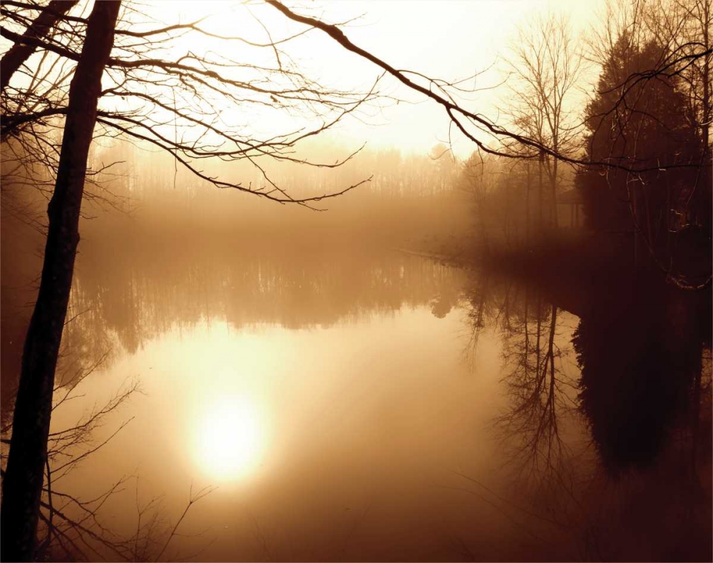 Fog on Shelly Lake II art print by Alan Hausenflock for $57.95 CAD
