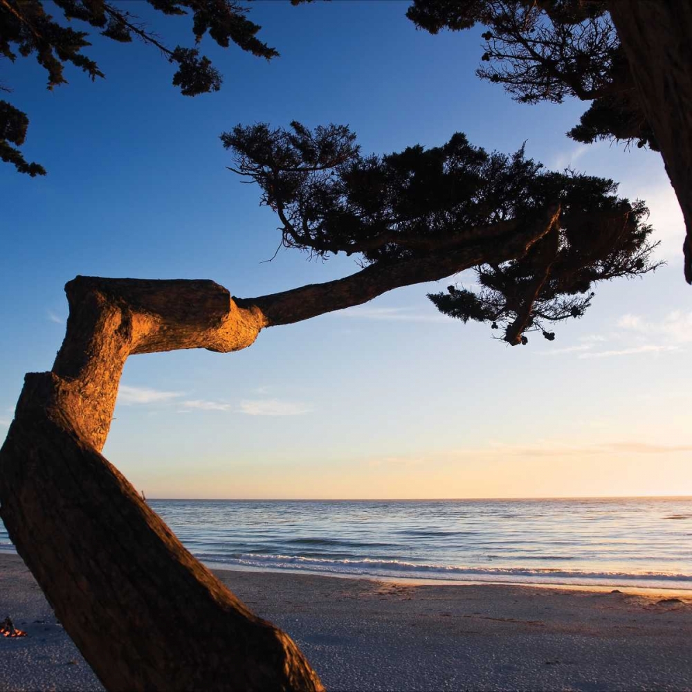 Carmel Sunset I art print by Alan Hausenflock for $57.95 CAD