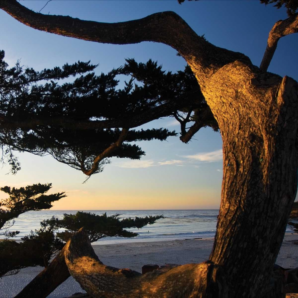 Carmel Sunset II art print by Alan Hausenflock for $57.95 CAD