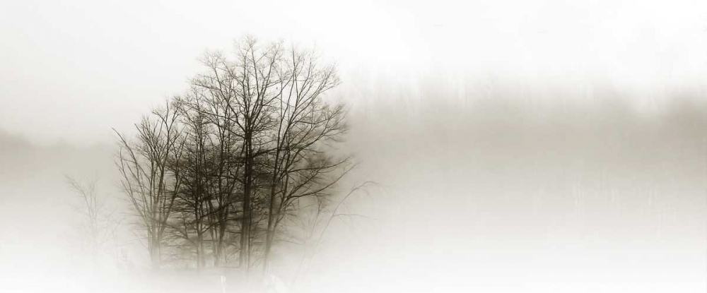 In the Mist II art print by Alan Hausenflock for $57.95 CAD