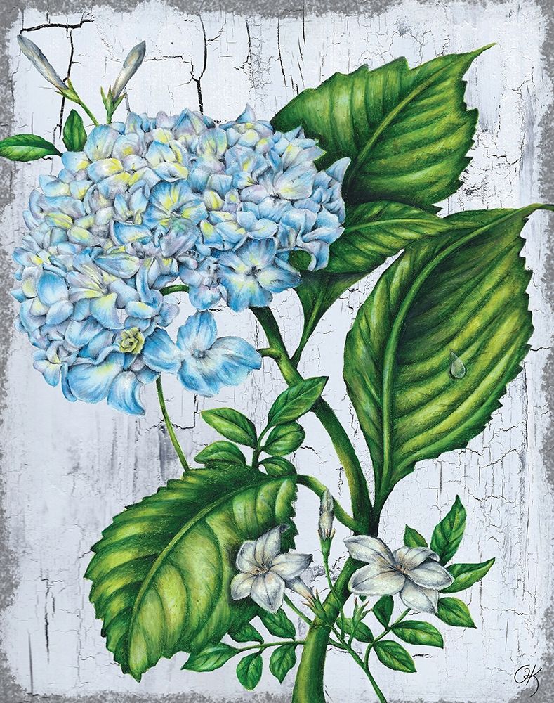 Hydranngea art print by Onna K for $57.95 CAD