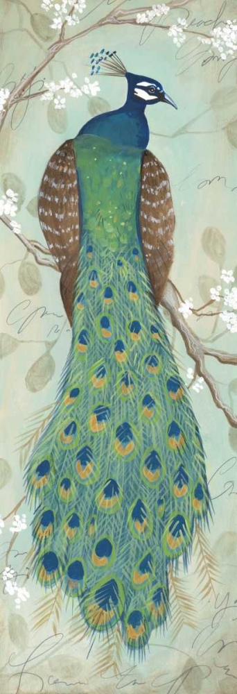 Peacock I art print by Steve Leal for $57.95 CAD