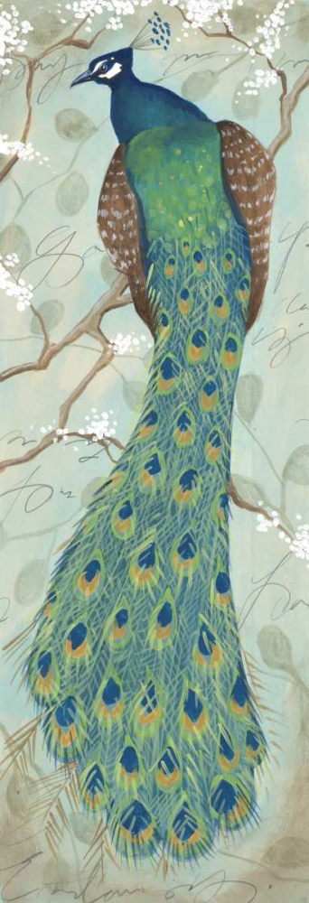 Peacock II art print by Steve Leal for $57.95 CAD