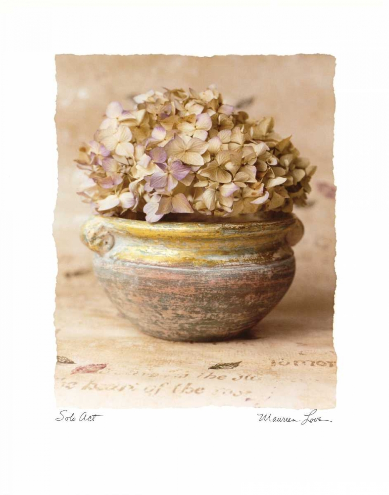 Solo Act art print by Maureen Love for $57.95 CAD