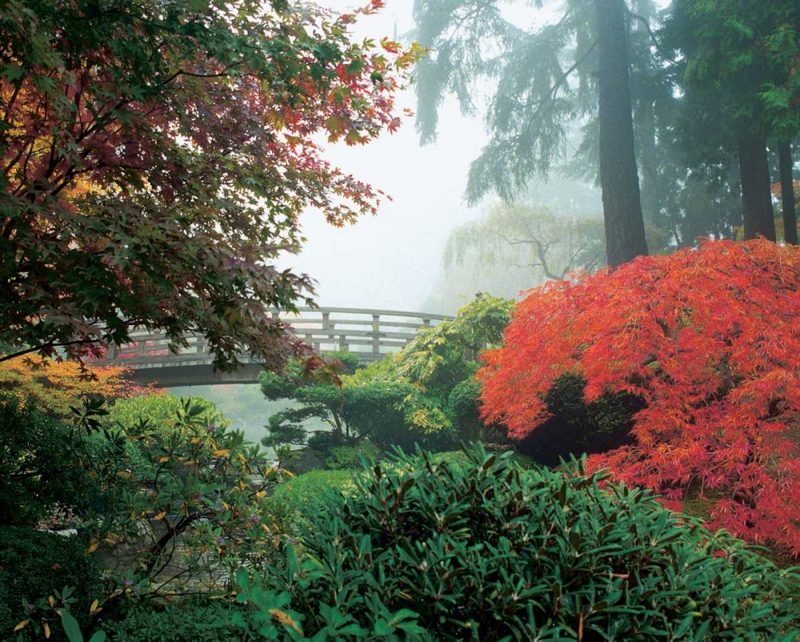 Japanese Garden II art print by Maureen Love for $57.95 CAD