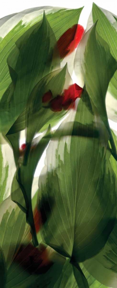 Hosta Begonia Window art print by Julia McLemore for $57.95 CAD