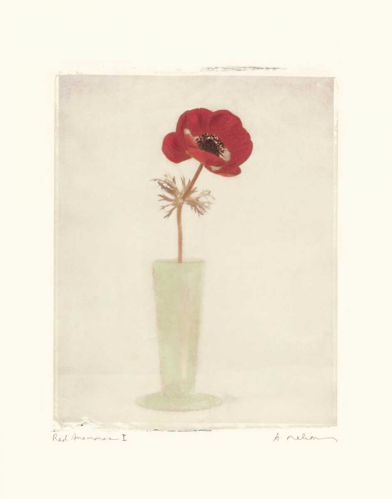 Red Anemones I art print by Amy Melious for $57.95 CAD