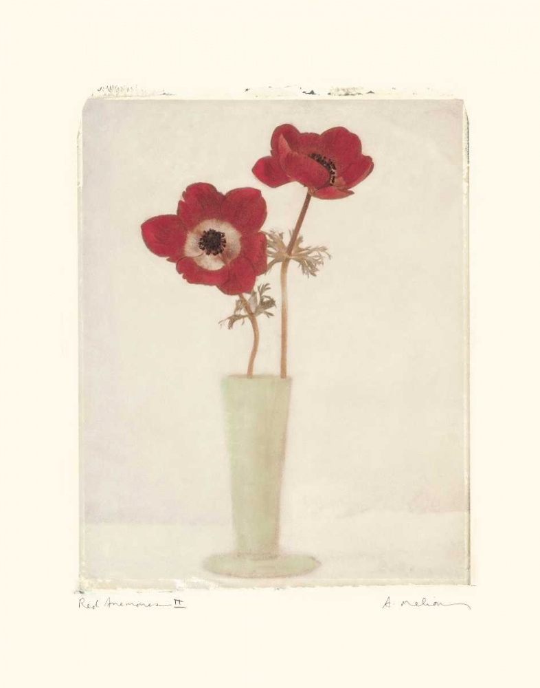 Red Anemones II art print by Amy Melious for $57.95 CAD