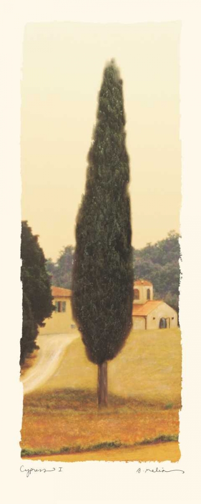 Cypress I art print by Amy Melious for $57.95 CAD